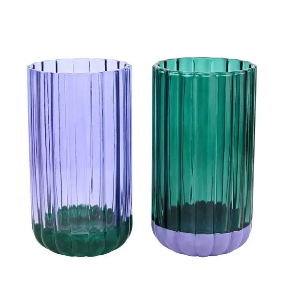 Set of 2 Tumbler Glasses - Purple & Green, Glass