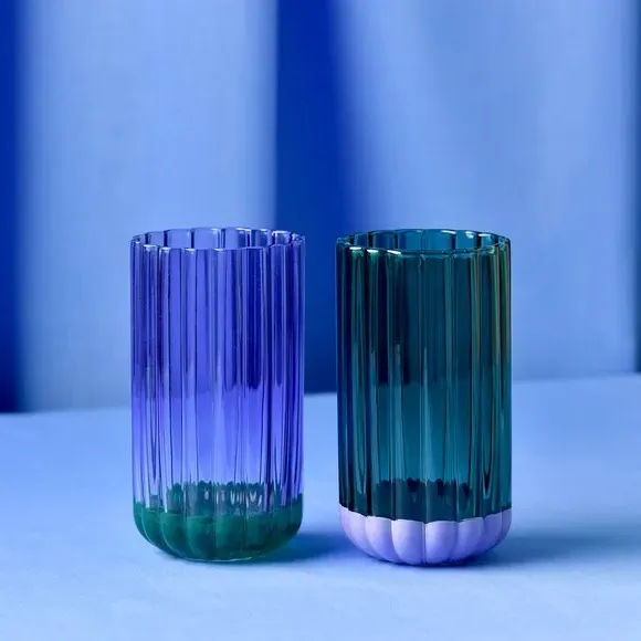 Set of 2 Tumbler Glasses - Purple & Green, Glass