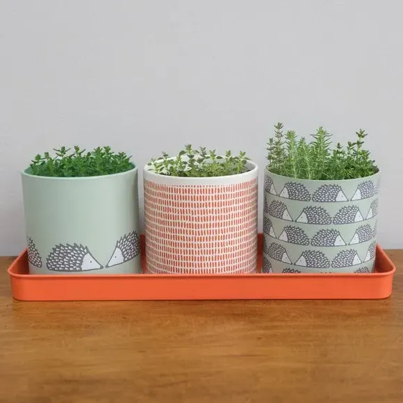 Set of 3 Herb Pots with Drip Tray - Green, Steel image