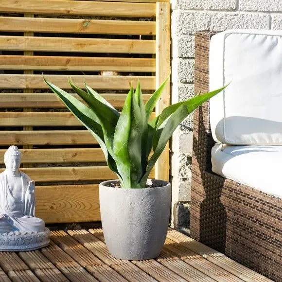 Artificial Agave Plant - Green, Grey Pot image