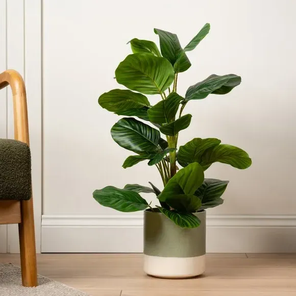 Artificial Arrowroot Plant - Green, Real Touch image