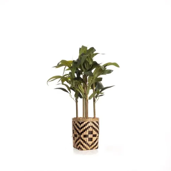 Artificial Bamboo Plant - Green, Woven Pot