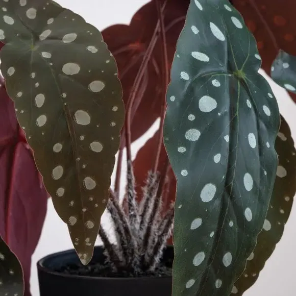 Artificial Begonia Plant with Pot - Green