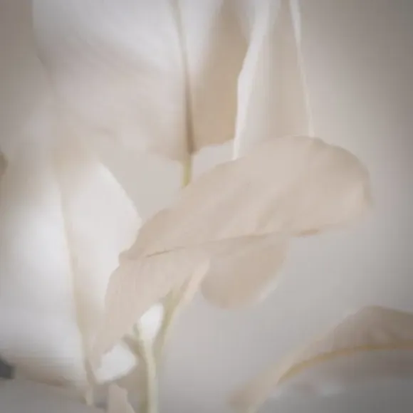 Artificial Bird of Paradise Plant - Natural