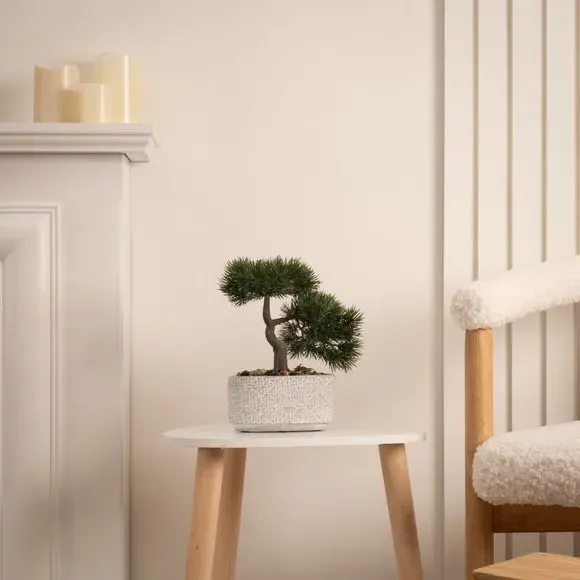 Artificial Bonsai Tree with Pot - Green, Cement image