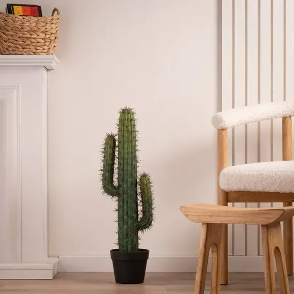 Artificial Cactus Plant - Green, Plastic Pot