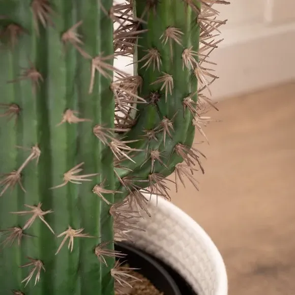 Artificial Cactus Plant - Green, Plastic Pot