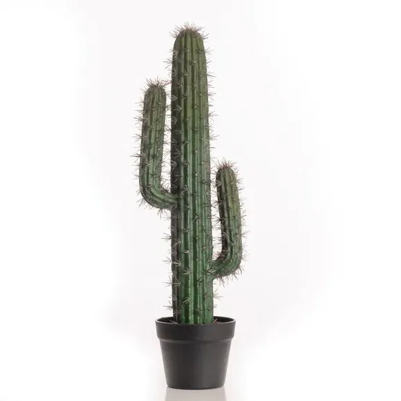 Artificial Cactus Plant - Green, Plastic Pot