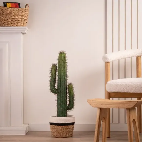 Artificial Cactus Plant - Green, Plastic Pot image