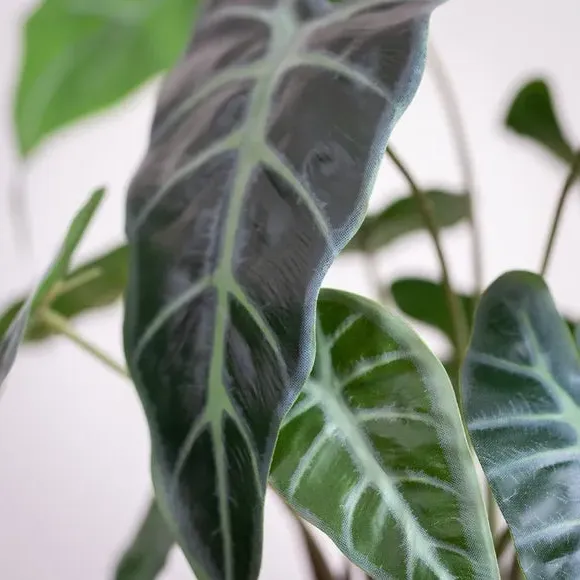 Artificial Caladium Plant - Green, Plastic Pot