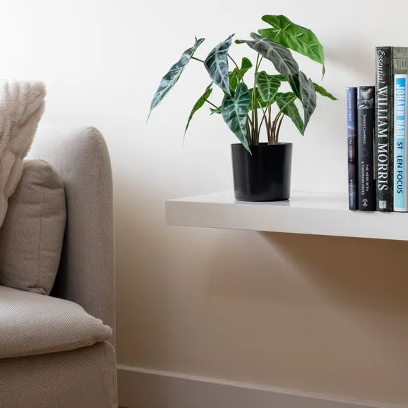 Artificial Caladium Plant - Green, Plastic Pot image