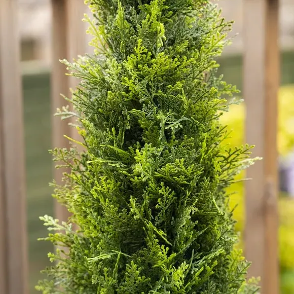 Artificial Cedar Topiary in Pot - Green