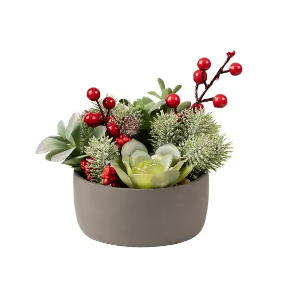 Artificial Christmas Succulent - Green, Cement