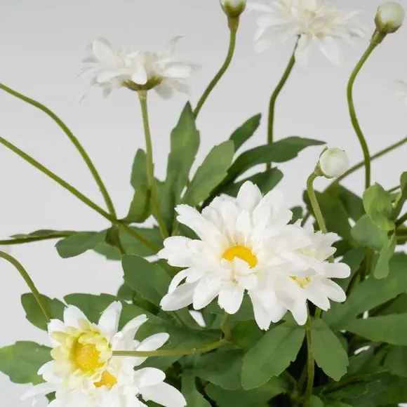 Artificial Daisy Plant - White, Terracotta Pot
