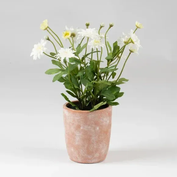 Artificial Daisy Plant - White, Terracotta Pot