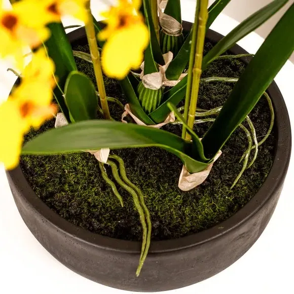 Artificial Dancing Orchid - Yellow, Ceramic Pot