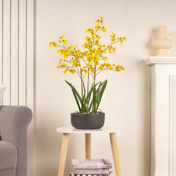 Artificial Dancing Orchid - Yellow, Ceramic Pot image