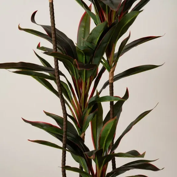 Artificial Dracaena Plant - Red, Real Touch