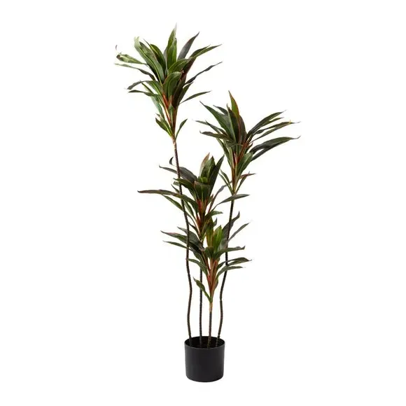 Artificial Dracaena Plant - Red, Real Touch