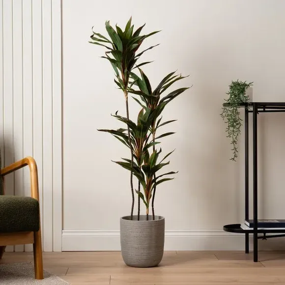 Artificial Dracaena Plant - Red, Real Touch image