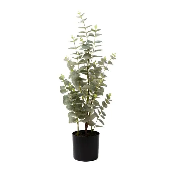 Artificial Eucalyptus Tree - Green, Black Pot