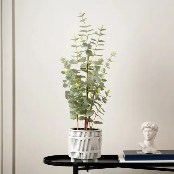 Artificial Eucalyptus Tree - Green, Black Pot image