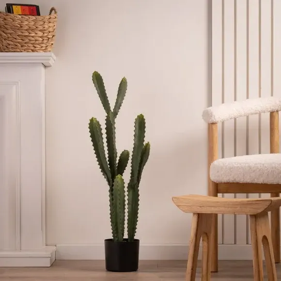 Artificial Euphorbia Cactus - Green, Plastic Pot