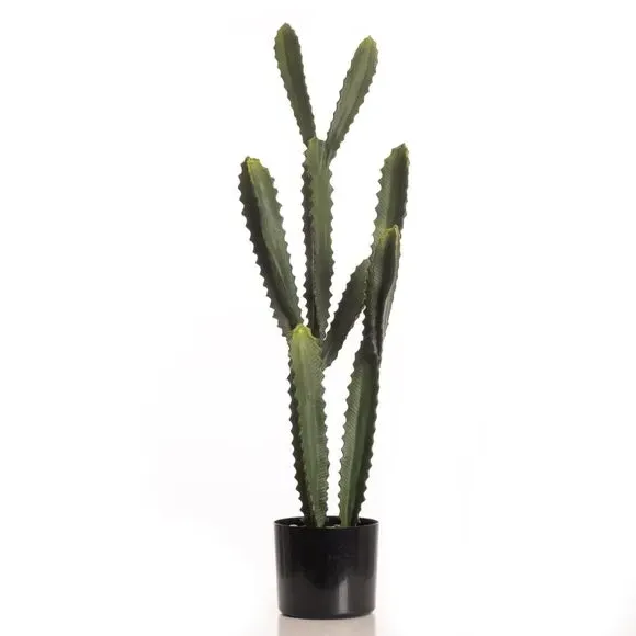 Artificial Euphorbia Cactus - Green, Plastic Pot