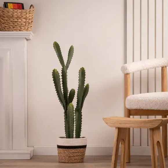 Artificial Euphorbia Cactus - Green, Plastic Pot