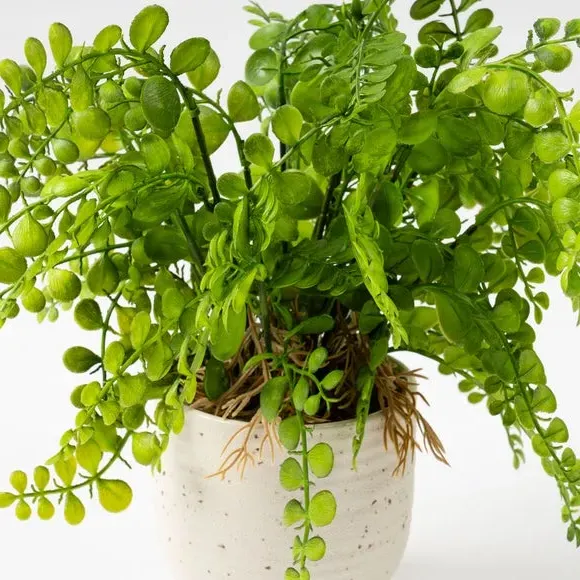Artificial Fern Plant - Green, Ceramic Pot