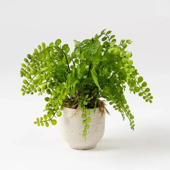 Artificial Fern Plant - Green, Ceramic Pot