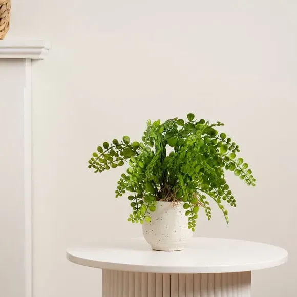 Artificial Fern Plant - Green, Ceramic Pot image