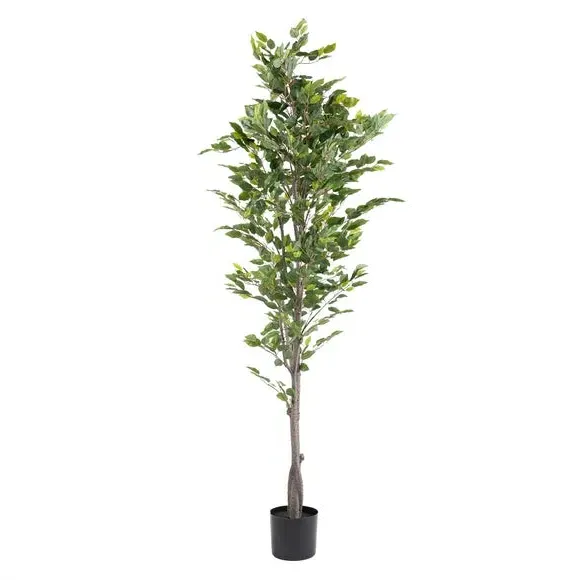 Artificial Ficus Tree - Green, Plastic Pot
