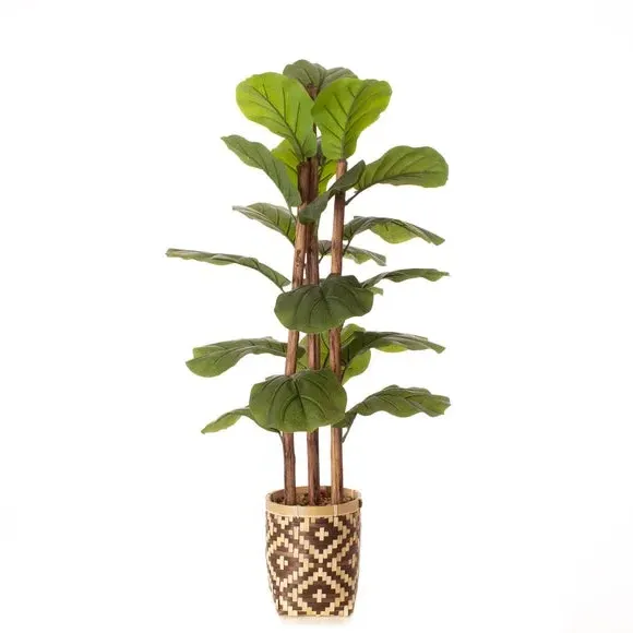 Artificial Fiddle Leaf Fig - Green, Bamboo Pot
