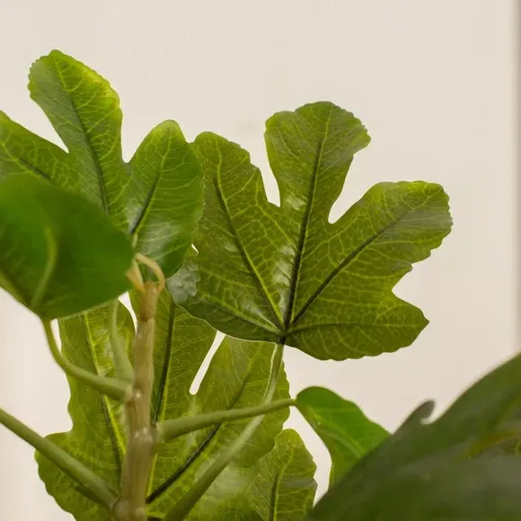 Artificial Fig Tree in Pot - Green, Bamboo
