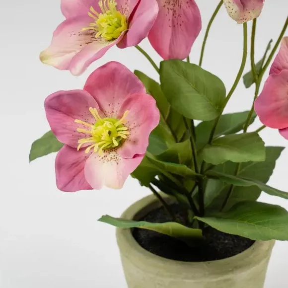 Artificial Hellebore Plant - Pink, Terracotta
