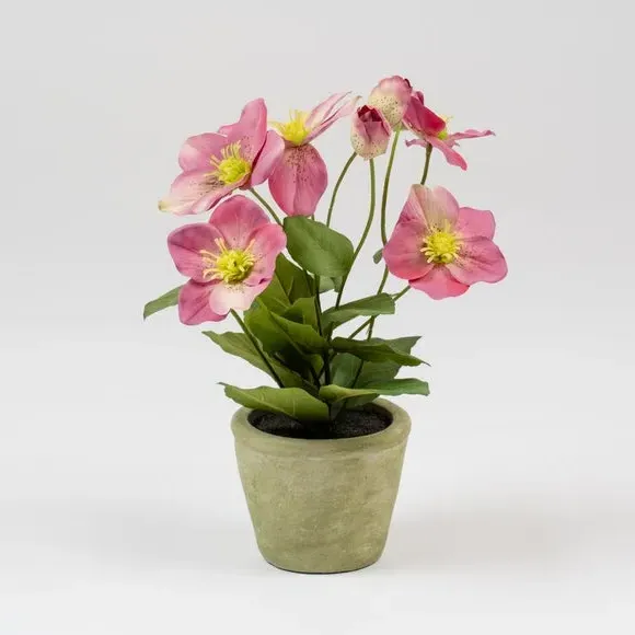 Artificial Hellebore Plant - Pink, Terracotta