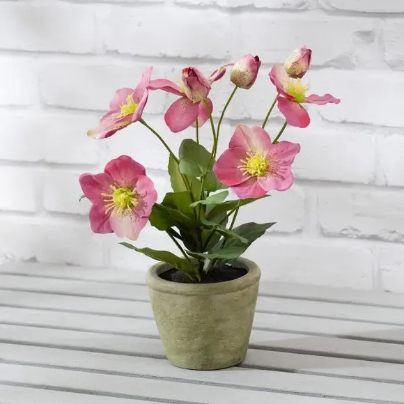 Artificial Hellebore Plant - Pink, Terracotta image