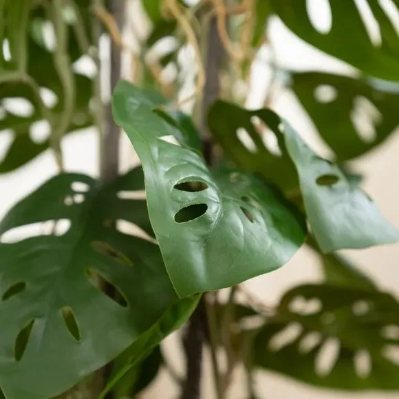 Artificial Monstera Plant - Green, Plastic Pot