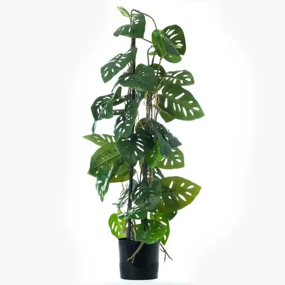 Artificial Monstera Plant - Green, Plastic Pot