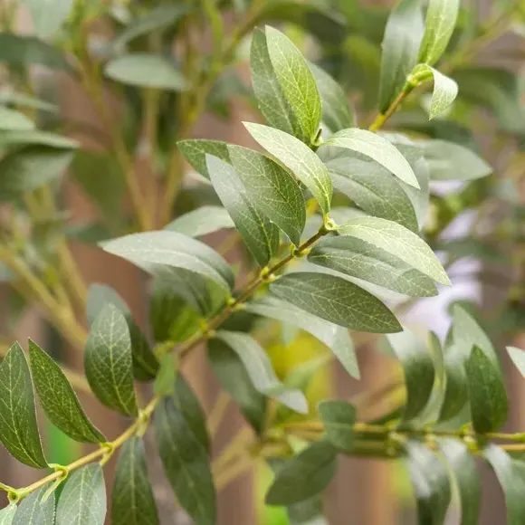 Artificial Olive Tree in Rustic Pot - Green