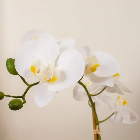Artificial Orchid in Round Pot - White, Ceramic