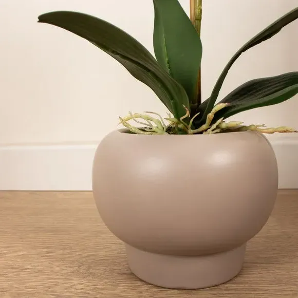 Artificial Orchid in Round Pot - White, Ceramic