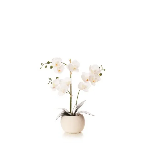 Artificial Orchid in Round Pot - White, Ceramic