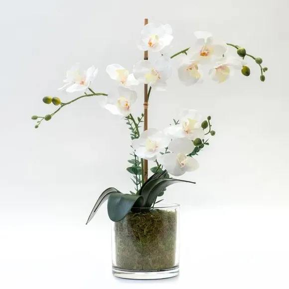 Artificial Orchid Plant Pot - White, Glass