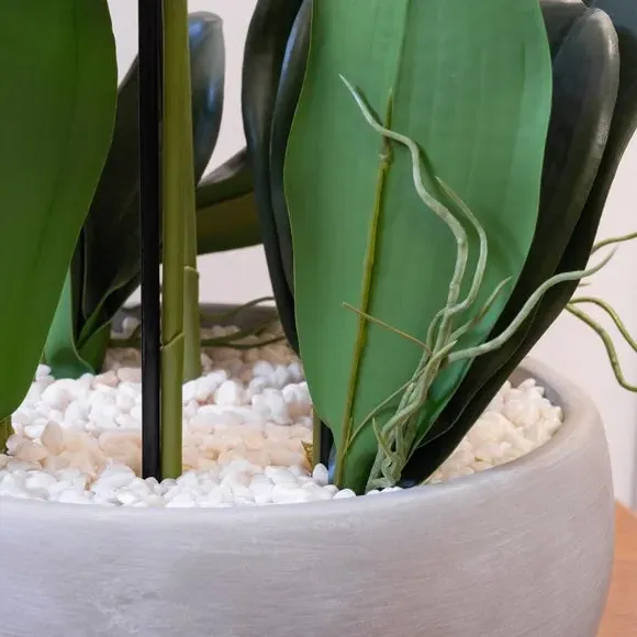 Artificial Orchid Plant - White, Ceramic Pot