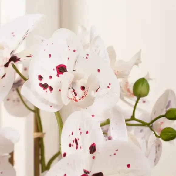 Artificial Orchid Plant - White, Ceramic Pot