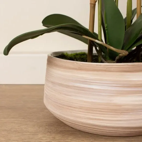 Artificial Orchid Plant - White, Ceramic Pot
