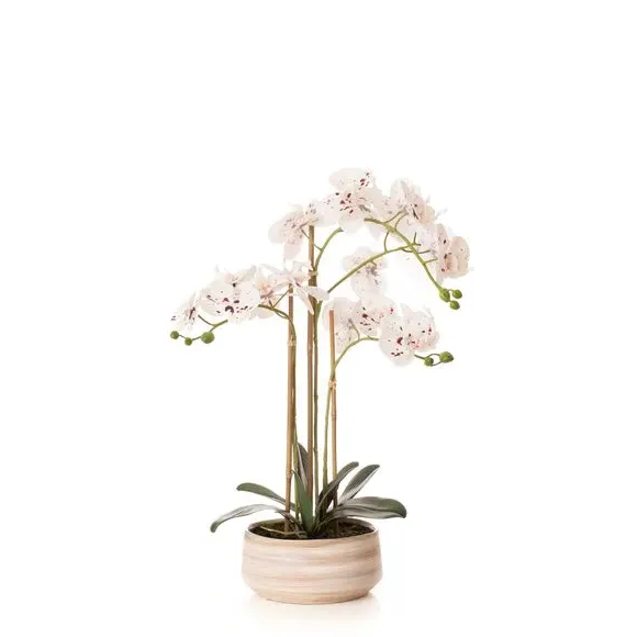 Artificial Orchid Plant - White, Ceramic Pot