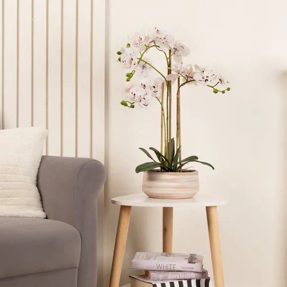 Artificial Orchid Plant - White, Ceramic Pot